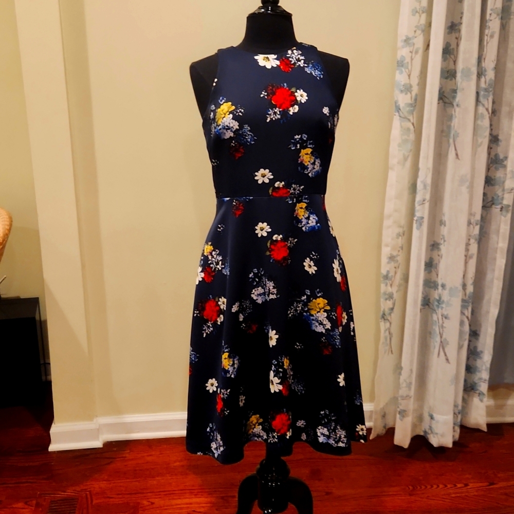 Navy Fit & Flare Dress